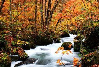 東北之星|日本東北旅遊：奧入瀨溪、青森秘境、藏王樹冰。